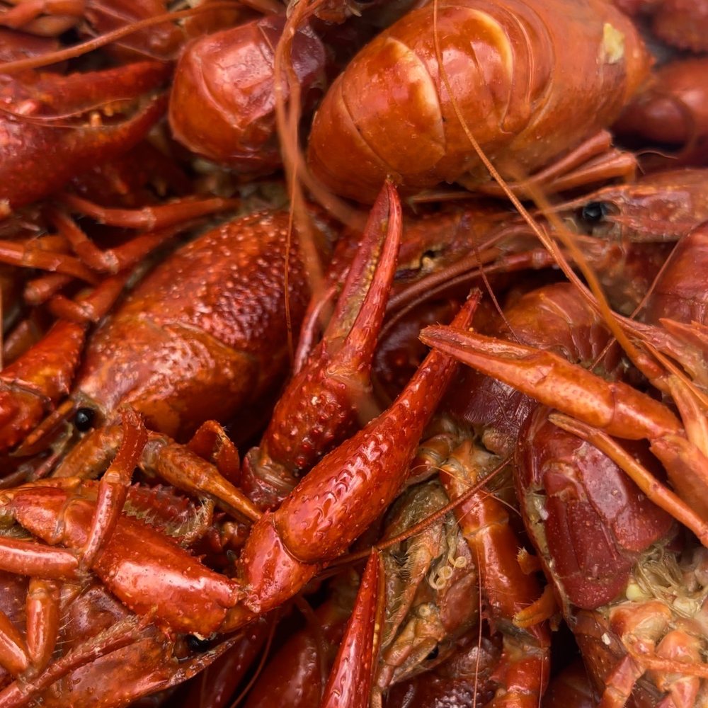 SEAFOOD BOIL - Image 2